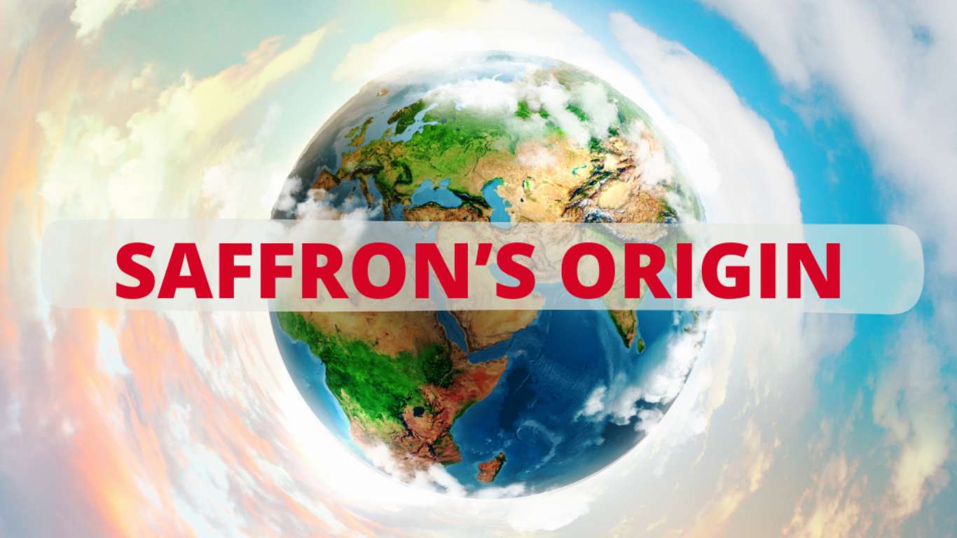 the origin of saffron