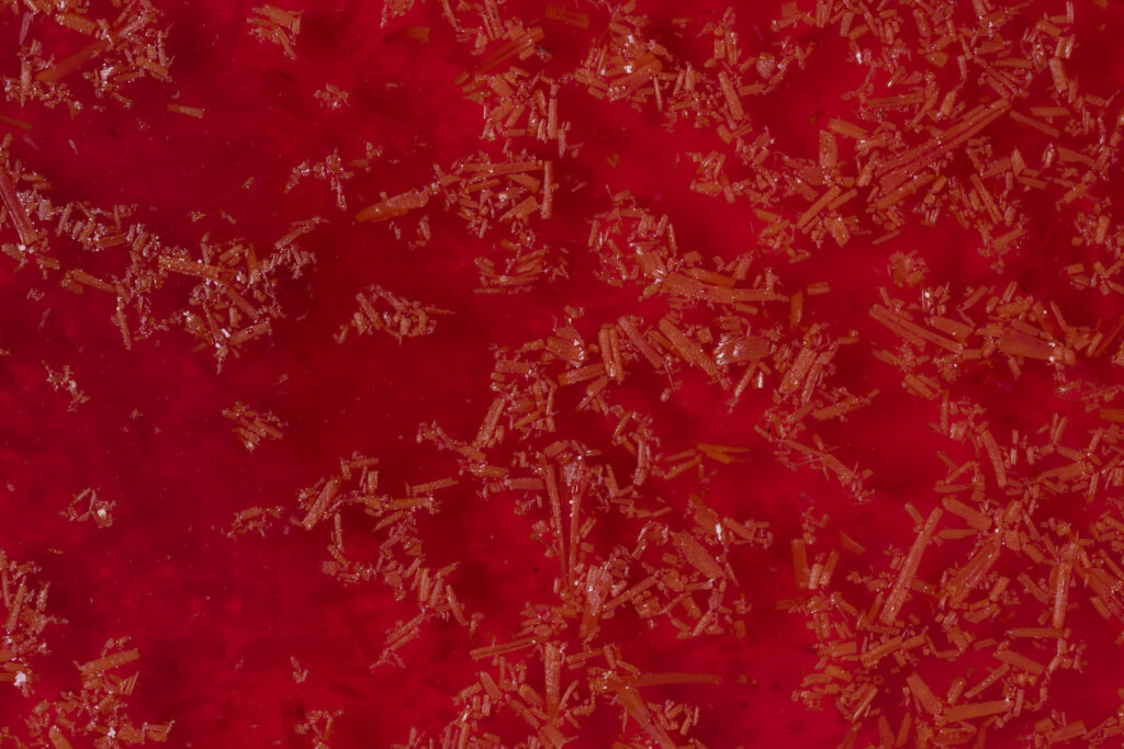 Saffron Oil